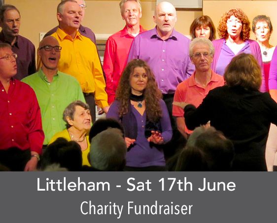littleham-concert
